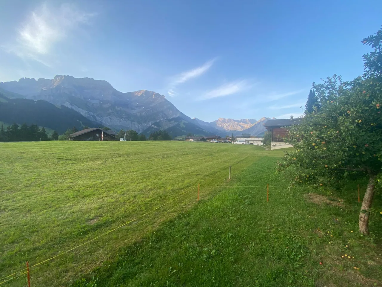 Blick von der Wiese
